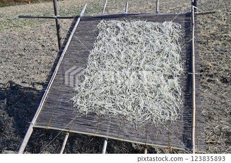 曬乾的蘿蔔條 123835893