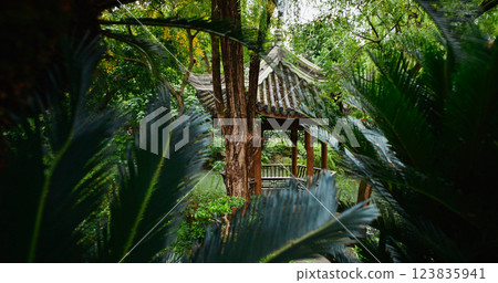 Chengdu, Sichuan, China. Garden Area Of Wuhou Memorial Temple. Palm Leaves Close-up View. Elegant Ornamental Gazebo. Green Foliage Bushes. Silence And Peace. Comfortable Environment To Embrace Nature 123835941