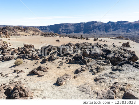 Lava Fields, Pumice Volcano Stones Texture, Volcanic Pumice Pattern, Pieces of Lava, Basalt Extrusive Igneous Rock Lava Fields, Pumice Volcano Stones Texture, Volcanic Pumice Pattern, Pieces of Lava, Basalt Extrusive Igneous Rock 123836028
