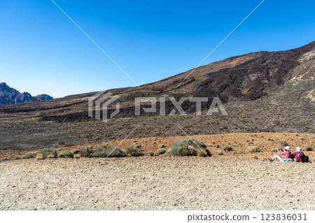 Lava Fields, Pumice Volcano Stones Texture, Volcanic Pumice Pattern, Pieces of Lava, Basalt Extrusive Igneous Rock 123836031