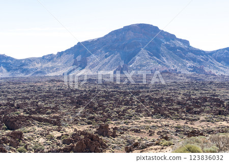 Lava Fields, Pumice Volcano Stones Texture, Volcanic Pumice Pattern, Pieces of Lava, Basalt Extrusive Igneous Rock Lava Fields, Pumice Volcano Stones Texture, Volcanic Pumice Pattern, Pieces of Lava, Basalt Extrusive Igneous Rock 123836032