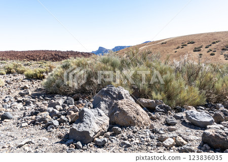 Lava Fields, Pumice Volcano Stones Texture, Volcanic Pumice Pattern, Pieces of Lava, Basalt Extrusive Igneous Rock Lava Fields, Pumice Volcano Stones Texture, Volcanic Pumice Pattern, Pieces of Lava, Basalt Extrusive Igneous Rock 123836035