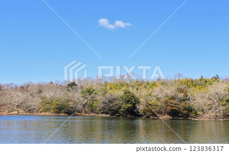 一碧湖初春清涼景色 123836317