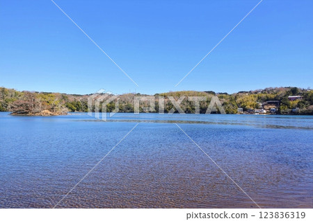 一碧湖初春清涼景色 123836319