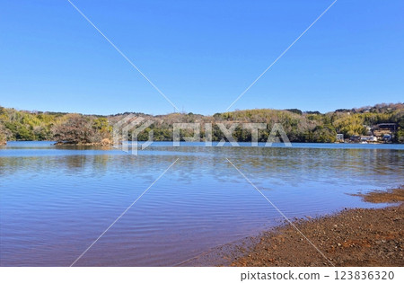一碧湖初春清涼景色 一碧湖初春清涼景色 123836320