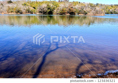 一碧湖初春清涼景色 123836321