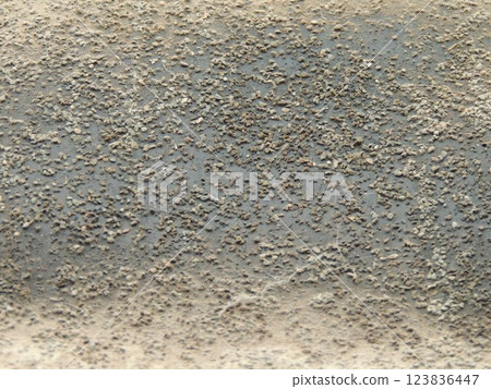 grey rough background with grains of matter on textured uneven dirty surface of covering material, fragment of old roofing felt with dirt and dust deposits as shabby monochrome background texture 123836447