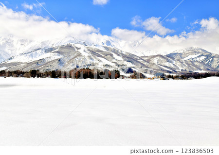 Scenery of Hakuba Village / Looking towards Hakuba Happo-one Ski Resort (Hakuba Village, Nagano Prefecture) [March 2025] 123836503