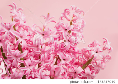 greeting card. mother's day, International Women's Day congratulate Holiday background celebration concept. flowers frame on pink background with space for text greeting card. mother's day, International Women's Day congratulate Holiday background celebration concept. flowers frame on pink background with space for text 123837049