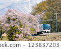 櫻花、雪山和鐵路 123837203