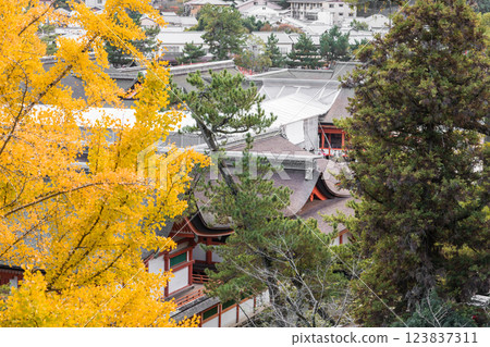 [從豐國神社看到的廣島宮島、嚴島神社] 123837311