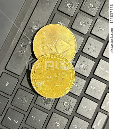 Virtual Currency Coins on a Laptop Keyboard Reflect the Growing Interest in Cryptocurrency Investments and Technology Virtual Currency Coins on a Laptop Keyboard Reflect the Growing Interest in Cryptocurrency Investments and Technology 123837388