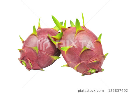 fresh whole Dragon fruit, pitahaya (pitaya) isolated on white background, clipping path included. Two fresh dragon fruits isolated. creative summer food concept. full depth of field. 123837492