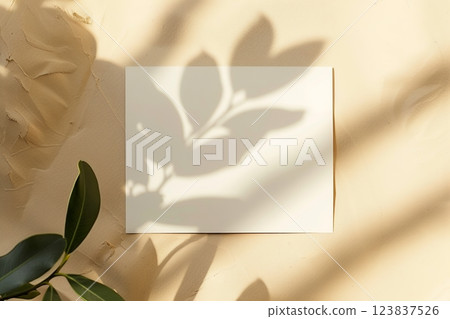 Top view of blank sheet of white textured watercolor paper with green plant on beige plaster background. Suitable for advertising related to creativity, art, education and stationery. Copy space 123837526