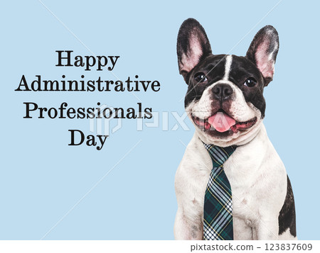 Happy Administrative Professionals Day. Lovable puppy and congratulatory inscription Happy Administrative Professionals Day. Lovable puppy and congratulatory inscription 123837609