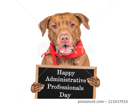 Happy Administrative Professionals Day. Cute dog and congratulatory inscription Happy Administrative Professionals Day. Cute dog and congratulatory inscription 123837610