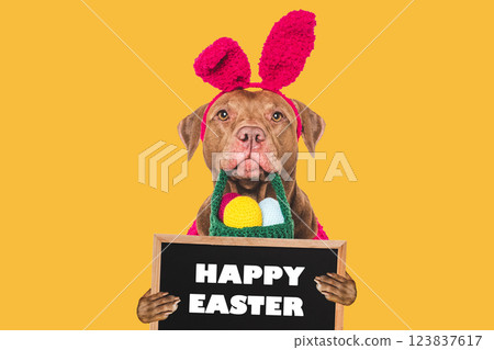 Happy Easter. Cute dog and congratulatory inscription Happy Easter. Cute dog and congratulatory inscription 123837617