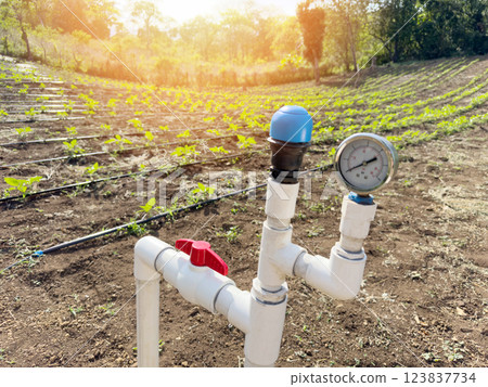 Water piping agriculture irrigation theme 123837734