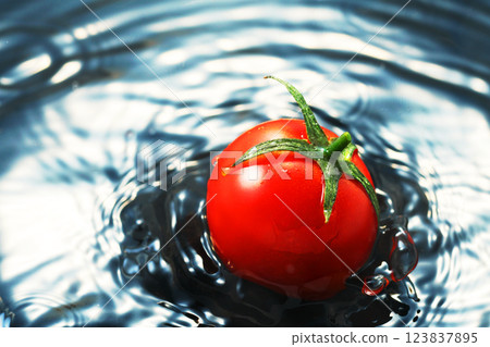 Cherry tomatoes falling into the water Cherry tomatoes falling into the water 123837895