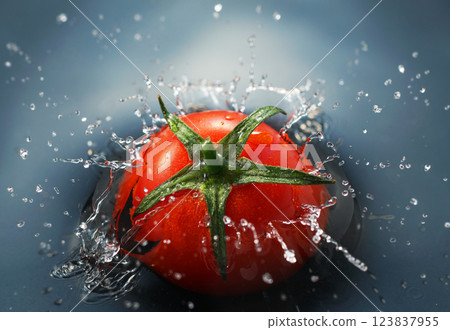 Cherry tomatoes falling into the water Cherry tomatoes falling into the water 123837955
