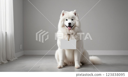 薩摩耶犬留言板 123838095