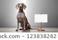Weimaraner Dog Message Board 123838282