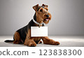 Welsh Terrier Dog Message Board 123838300