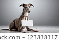 Whippet Dog Message Board 123838317