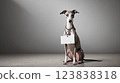 Whippet Dog Message Board 123838318