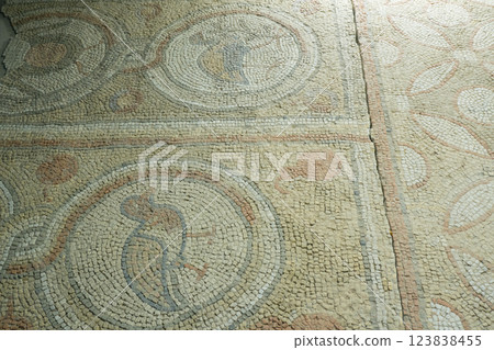 Floor mosaics from Byzantine times VI AD. They depicting walking birds, geometric ornaments and stylized fruits. Authors are unknown 123838455