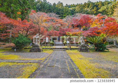 森町大同院的紅葉（靜岡縣） 123838945