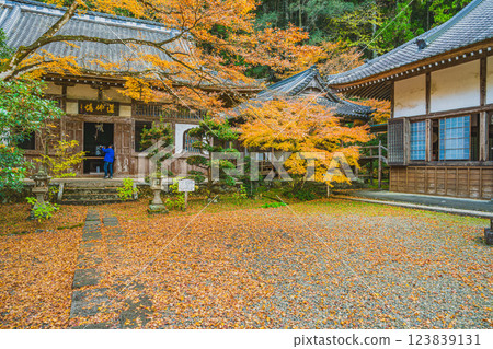 靜岡縣森町大同院的秋葉景色 123839131