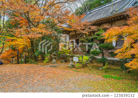 森町(靜岡縣)大同院秋葉景觀 森町(靜岡縣)大同院秋葉景觀 123839132