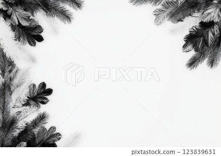 Winter foliage frames a blank canvas for festive creativity 123839631