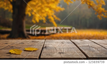 Beautiful colorful natural autumn background for presentation. Fallen dry orange leaves on wooden boards against the backdrop of a blurry autumn park. Beautiful colorful natural autumn background for presentation. Fallen dry orange leaves on wooden boards against the backdrop of a blurry autumn park. 123839739