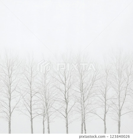 Silent winter landscape with bare trees under gray sky 123840026