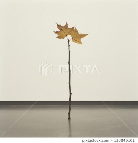 Unique arrangement of dried leaf on a slender stick indoors 123840101