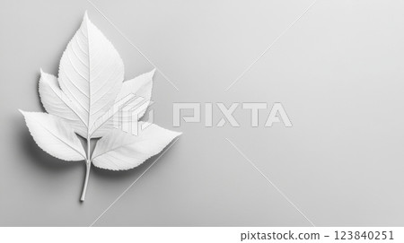 White leaf on gray background creating a minimalist aesthetic 123840251