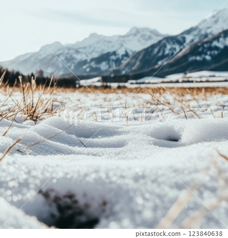 Snowy field with mountain backdrop 123840638