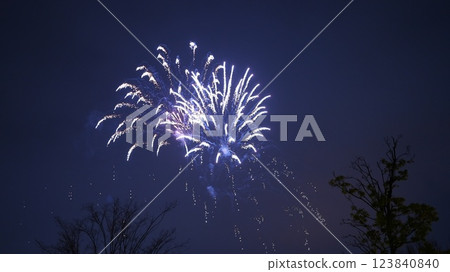 The fireworks dancing in the night sky are 3.11 disaster prevention fireworks The fireworks dancing in the night sky are 3.11 disaster prevention fireworks 123840840