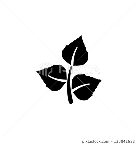 Birch Leaf Pair, Organic Plant, Flora Solid Flat Vector Icon Isolated on White Background 123841658