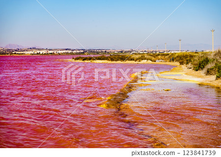 Pink lake, coastal landscape, Spain Pink lake, coastal landscape, Spain 123841739