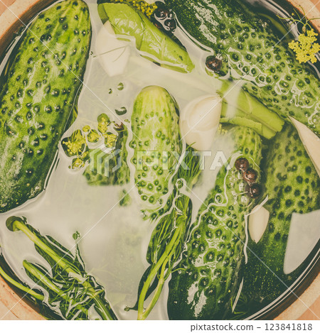 Making pickled cucumbers in clay jar 123841818