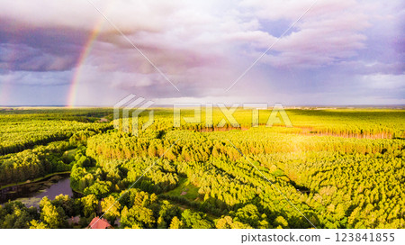 Rainbow over forest area, Poland. Aerial view Rainbow over forest area, Poland. Aerial view 123841855