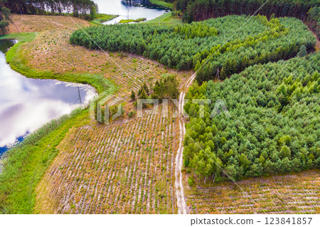 Lake in Tuchola Forests, Poland. Aerial view Lake in Tuchola Forests, Poland. Aerial view 123841857