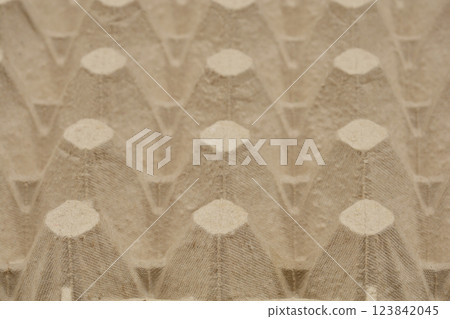 Egg carton Egg carton 123842045