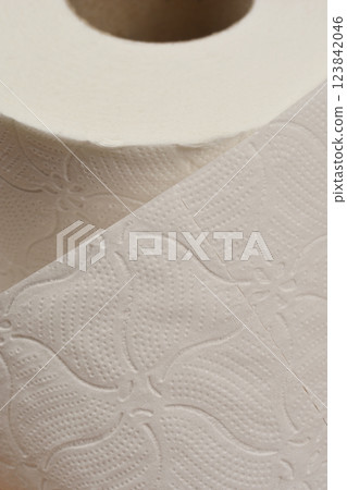 Roll of toilet paper Roll of toilet paper 123842046