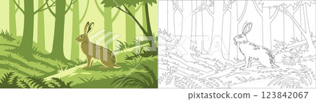 illustration of hare in forest 123842067