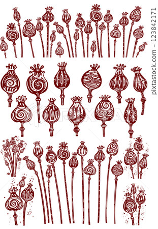 Decorative Poppy Heads, Papaver design Decorative Poppy Heads, Papaver design 123842171