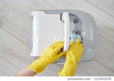 Hands in yellow gloves cleaning automatic litter box with cloth on wooden floor 123842876